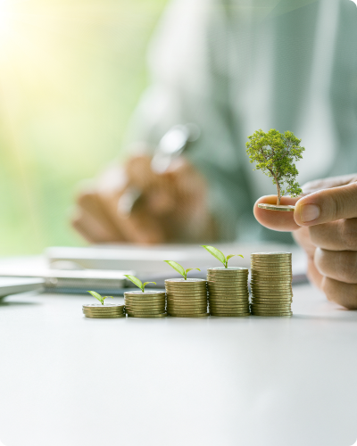 Wealth Management Solution