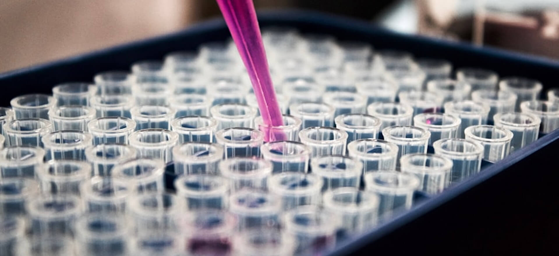 SK Capital Is Said to Near Deal for Drug Distributor Swixx